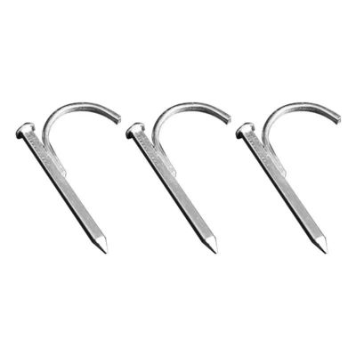 kwaliteit  High Hardness Galvanized Pipe Hook Nails Support Customization fabriek
