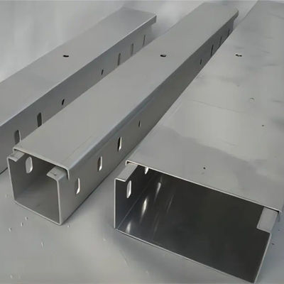 Van het de Beschermingsroestvrije staal van de aanpassingskabel de Kabeltrunking Poederdeklaag